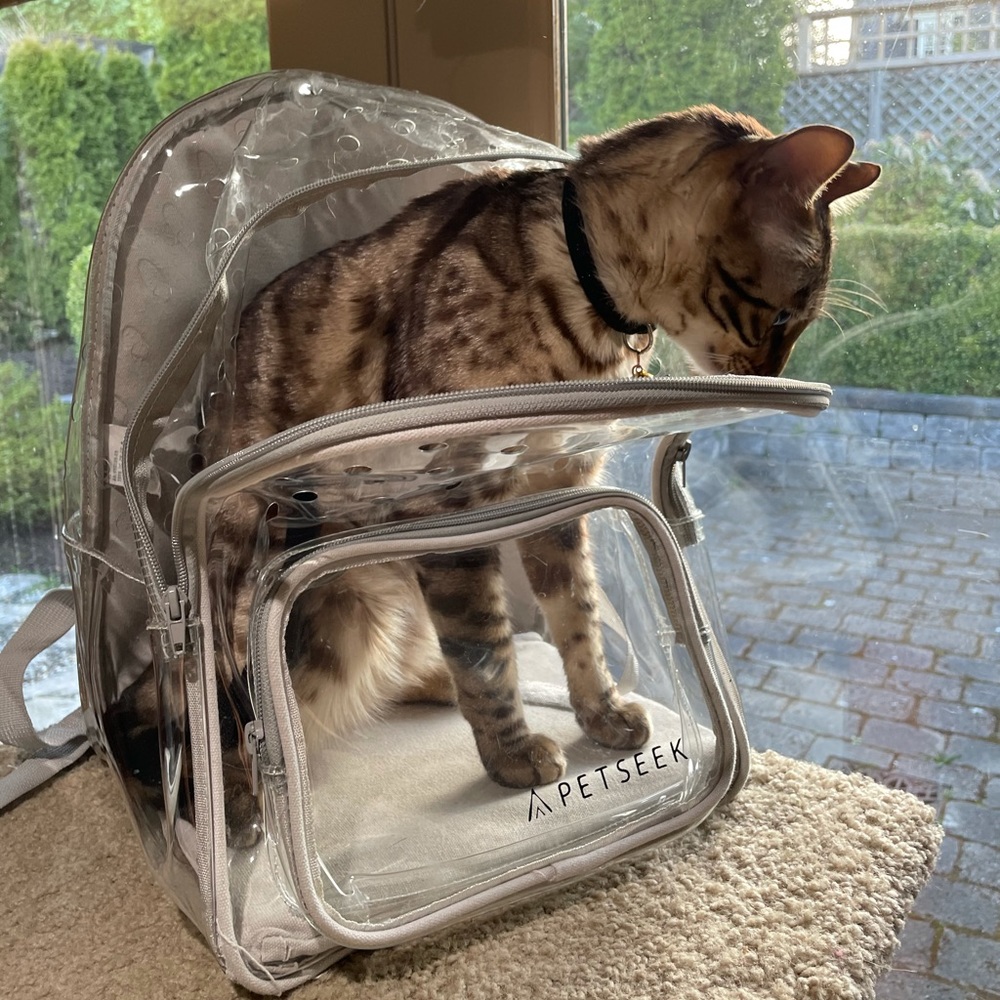 Petseek clear plastic pet cat backpack carrier